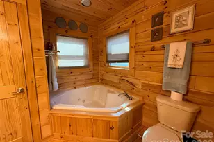 3695 Nc 9 Hwy N, Mill Spring, NC 28756 - Photo 9