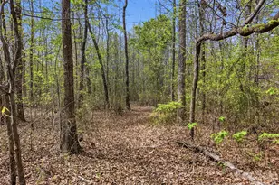 00 County Line Rd, Kings Mountain, NC 28086 - Photo 11