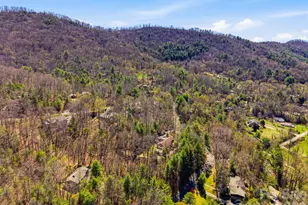 8 Covewood Rd, Asheville, NC 28805 - Photo 37