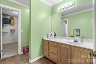 217 Spring Run Dr, Mooresville, NC 28117 - Photo 31