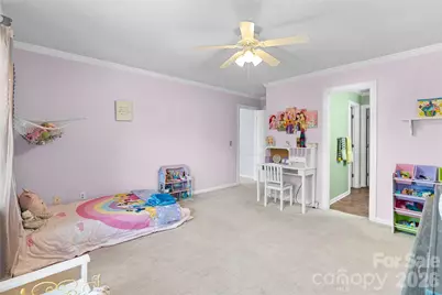 217 Spring Run Drive, Mooresville, NC 28117 - Photo 33