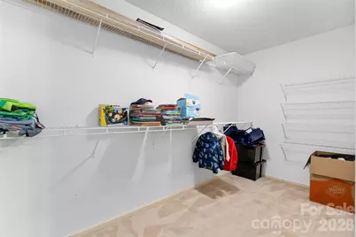 217 Spring Run Drive, Mooresville, NC 28117 - Photo 29