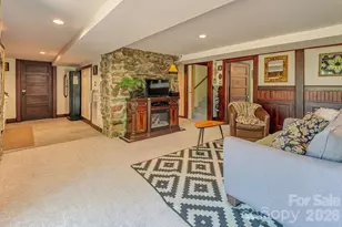 10 Hillendale Rd, Asheville, NC 28805 - Photo 31
