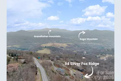 94 Silver Fox Ridge, Beech Mountain, NC 28604 - Photo 43