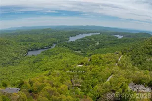 96 Moltz Ct, Lake Toxaway, NC 28747 - Photo 47
