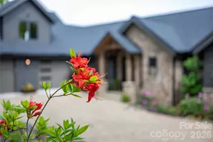 96 Moltz Ct, Lake Toxaway, NC 28747 - Photo 43