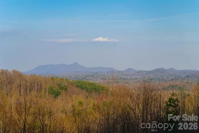 527 Falkirk Way, Zirconia, NC 28790 - Photo 45