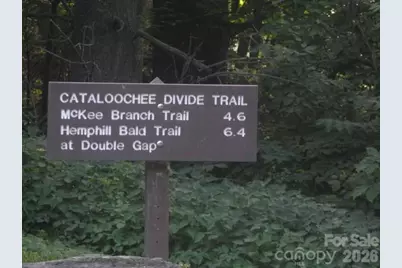 536 Lands End Lane, Maggie Valley, NC 28751 - Photo 45