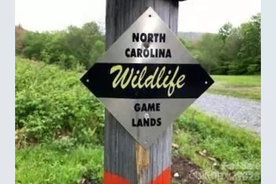 536 Lands End Lane, Maggie Valley, NC 28751 - Photo 47