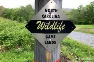 536 Lands End Ln, Maggie Valley, NC 28751 - Photo 47