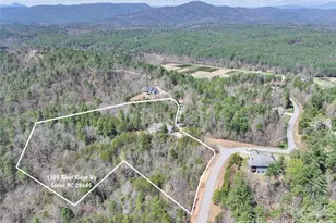 1103 River Rdg Wy, Lenoir, NC 28645 - Photo 45