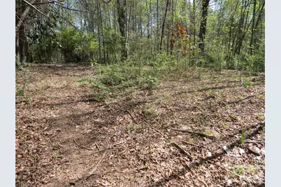 1329 Overlook Drive SW, Lenoir, NC 28645 - Photo 3