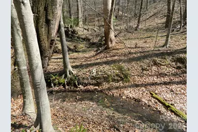 1329 Overlook Drive SW, Lenoir, NC 28645 - Photo 9