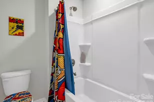 255 Fox Cove Rd, Hendersonville, NC 28792 - Photo 37