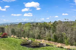 255 Fox Cove Rd, Hendersonville, NC 28792 - Photo 43