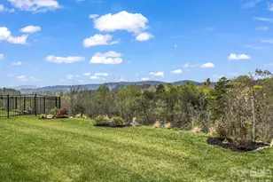 255 Fox Cove Rd, Hendersonville, NC 28792 - Photo 45