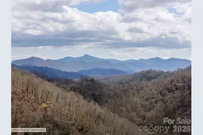 Tbd Wilson Cove Road, Canton, NC 28716 - Photo 3