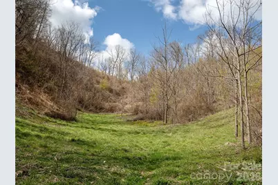 Tbd Wilson Cove Road, Canton, NC 28716 - Photo 19