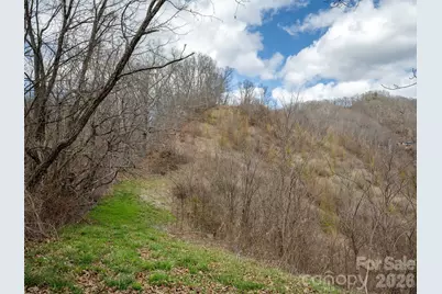 Tbd Wilson Cove Road, Canton, NC 28716 - Photo 15