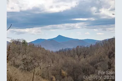 Tbd Wilson Cove Road, Canton, NC 28716 - Photo 13