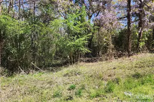 5618 Brooklyn Rd, Great Falls, SC 29055 - Photo 1