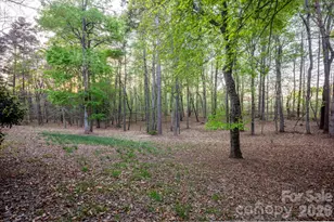 14504 Henry Harrison Stillwell Dr, Huntersville, NC 28078 - Photo 41