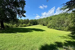 282 Calhoun Trail, Rutherfordton, NC 28139 - Photo 3