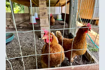 282 Calhoun Trail, Rutherfordton, NC 28139 - Photo 45