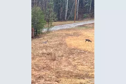 282 Calhoun Trail, Rutherfordton, NC 28139 - Photo 43