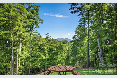 217 Sycamore Drive, Nebo, NC 28761 - Photo 43