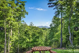 217 Sycamore Dr, Nebo, NC 28761 - Photo 43