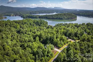 217 Sycamore Dr, Nebo, NC 28761 - Photo 43