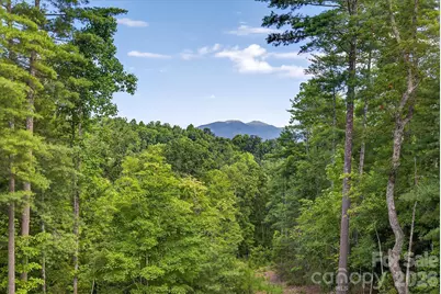 217 Sycamore Drive, Nebo, NC 28761 - Photo 45