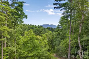 217 Sycamore Dr, Nebo, NC 28761 - Photo 45