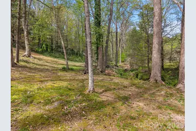 140 Meadowlark Drive, Tryon, NC 28782 - Photo 45