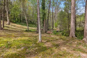 140 Meadowlark Dr, Tryon, NC 28782 - Photo 45