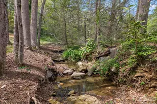 140 Meadowlark Dr, Tryon, NC 28782 - Photo 5