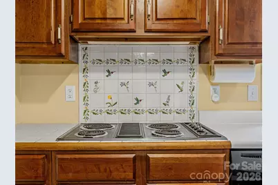 140 Meadowlark Drive, Tryon, NC 28782 - Photo 11