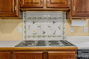 140 Meadowlark Dr, Tryon, NC 28782 - Photo 11