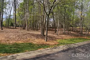 8113 Bay View Ln, Belmont, NC 28012 - Photo 1