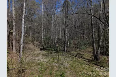 4659 Cedar Brook Lane, Nebo, NC 28761 - Photo 3