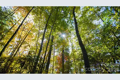 106 Skydance Trail, Hendersonville, NC 28739 - Photo 7