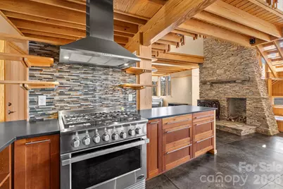 588 Long Branch Road, Swannanoa, NC 28778 - Photo 9