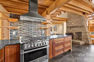 588 Long Branch Rd, Swannanoa, NC 28778 - Photo 9