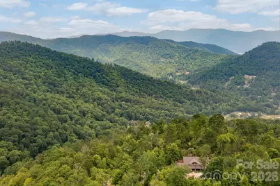 588 Long Branch Road, Swannanoa, NC 28778 - Photo 41