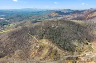 588 Long Branch Rd, Swannanoa, NC 28778 - Photo 43