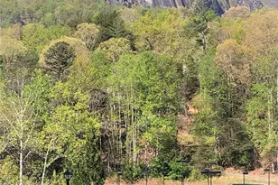 160 Whitney Blvd, Lake Lure, NC 28746 - Photo 33