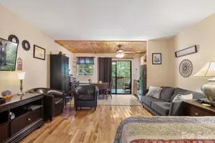 160 Whitney Blvd, Lake Lure, NC 28746 - Photo 3