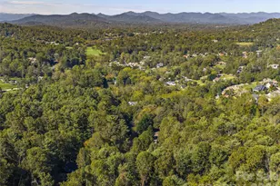 101 Skyview Dr, Asheville, NC 28804 - Photo 45