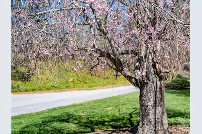 4 Dogwood Road, Asheville, NC 28804 - Photo 3